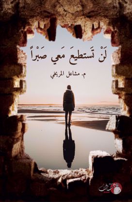 صورة لن تستطيع معي صبراً - مشاعل المريخي